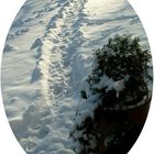 Zwei Spuren im Schnee