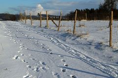 Zwei Spuren im Schnee