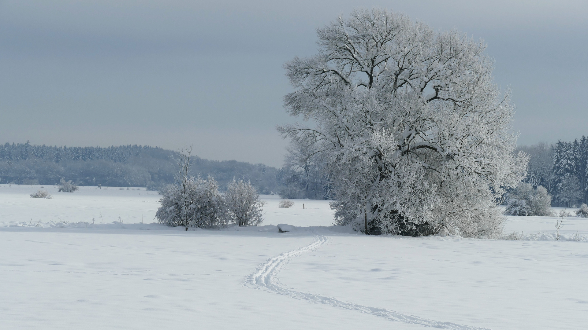 Zwei Spuren im Schnee...