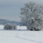 Zwei Spuren im Schnee...