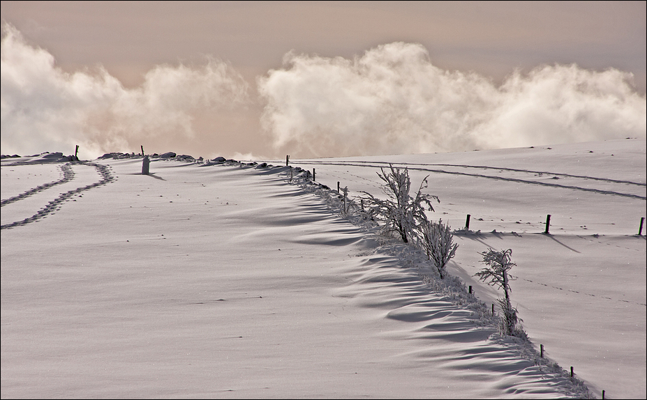 Zwei Spuren im Schnee....