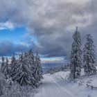 Zwei Spuren im Schnee