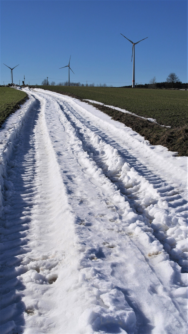 Zwei  Spuren im Schnee gehn allein auf weite Höh