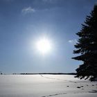 zwei Spuren im Schnee gehn allein auf weiter Höh