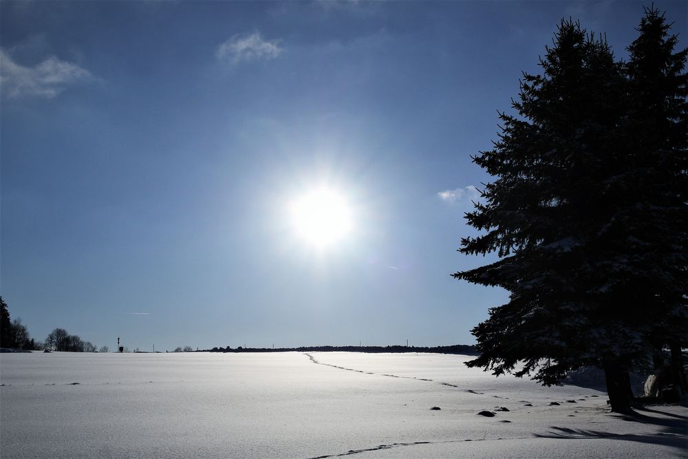 zwei Spuren im Schnee gehn allein auf weiter Höh