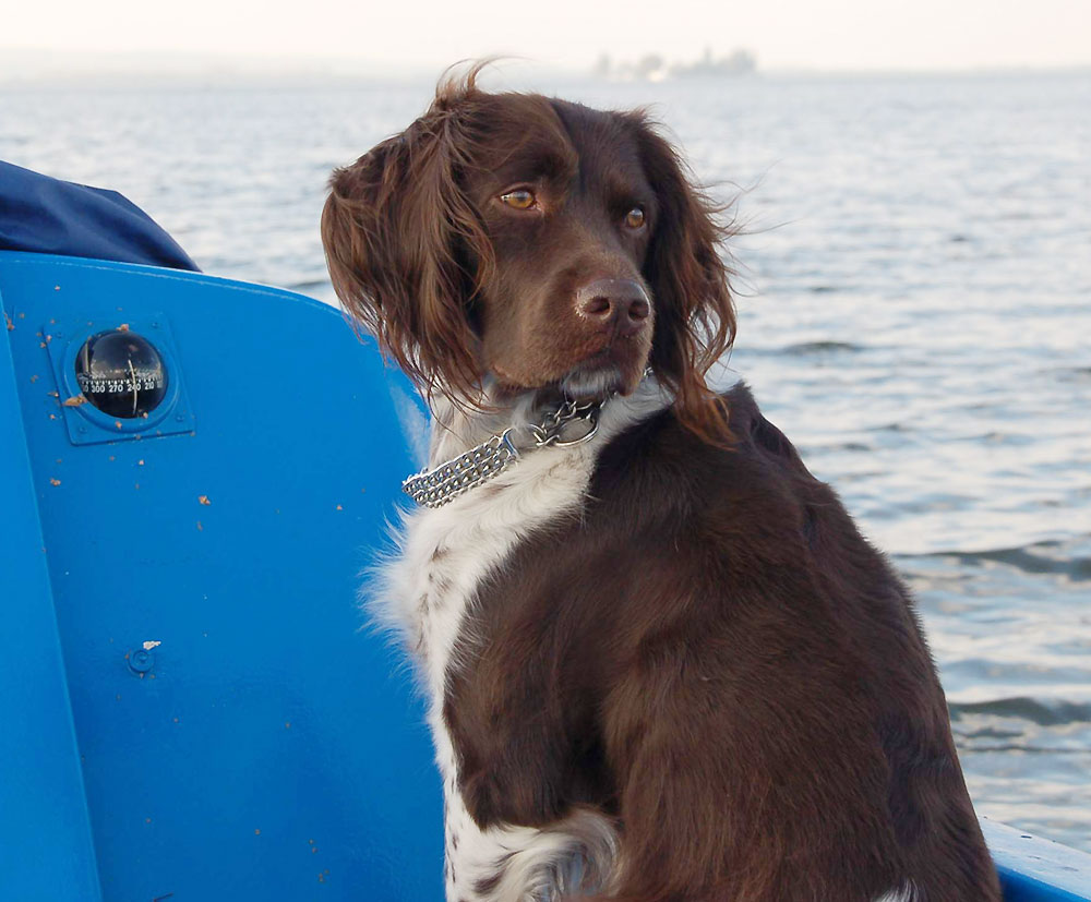 Zwei Strich Backbord, Skipper