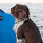 Zwei Strich Backbord, Skipper