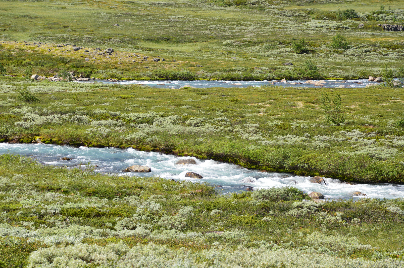 Zwei Ströme (Knutshøe Jotunheimen National Park, Vågå, Norwegen)