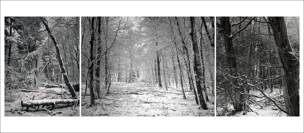 zwei Stunden im Schnee