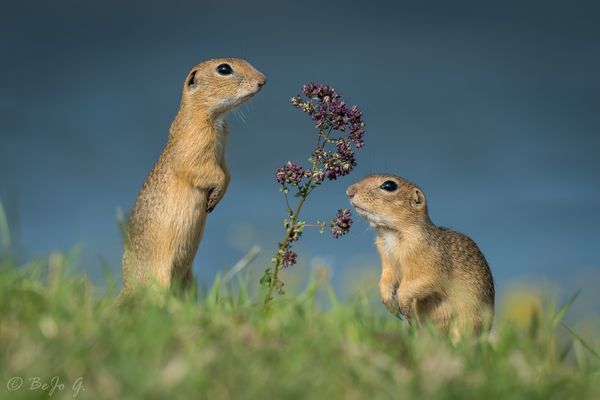 Zwei Supernasen auf Schnuppertour