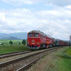 Zwei T 679 am Berg , auf dem Weg nach Horna Stubna 05 2014