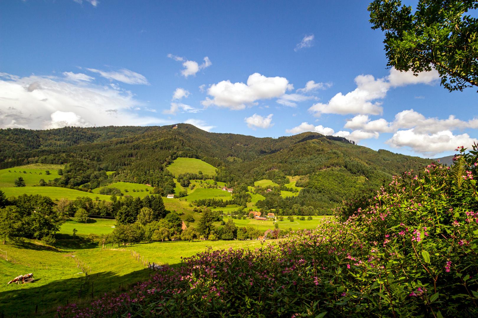 Zwei-Täler-Land Simonswald