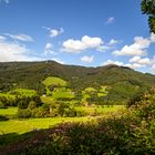 Zwei-Täler-Land Simonswald