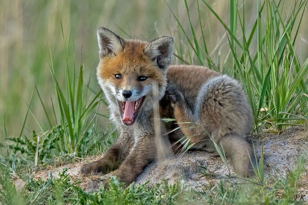                 Zwei Tage Später  :-)