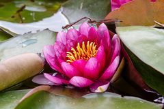 Zwei überraschende "Nebenmotive"