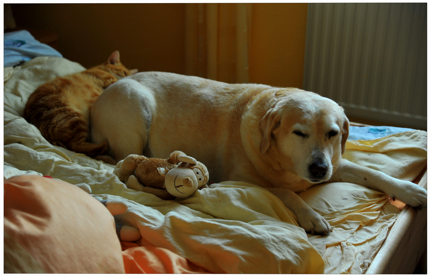 Zwei unzerrtrennliche Freunde II (dos amigos inseparables II)