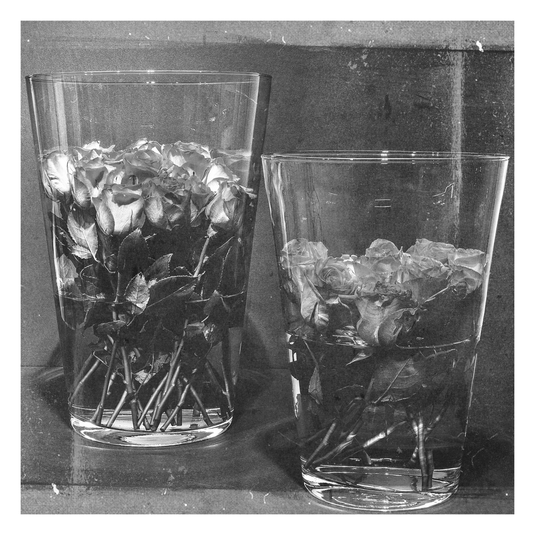                    zwei Vasen