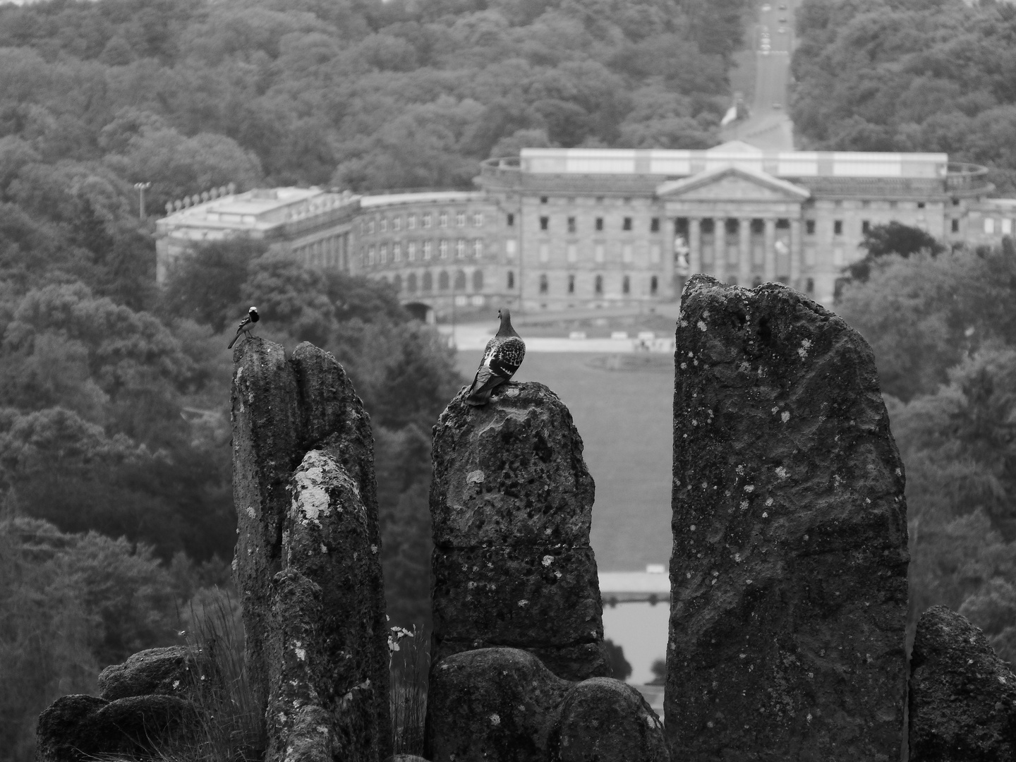 zwei Vögel unterhalten sich