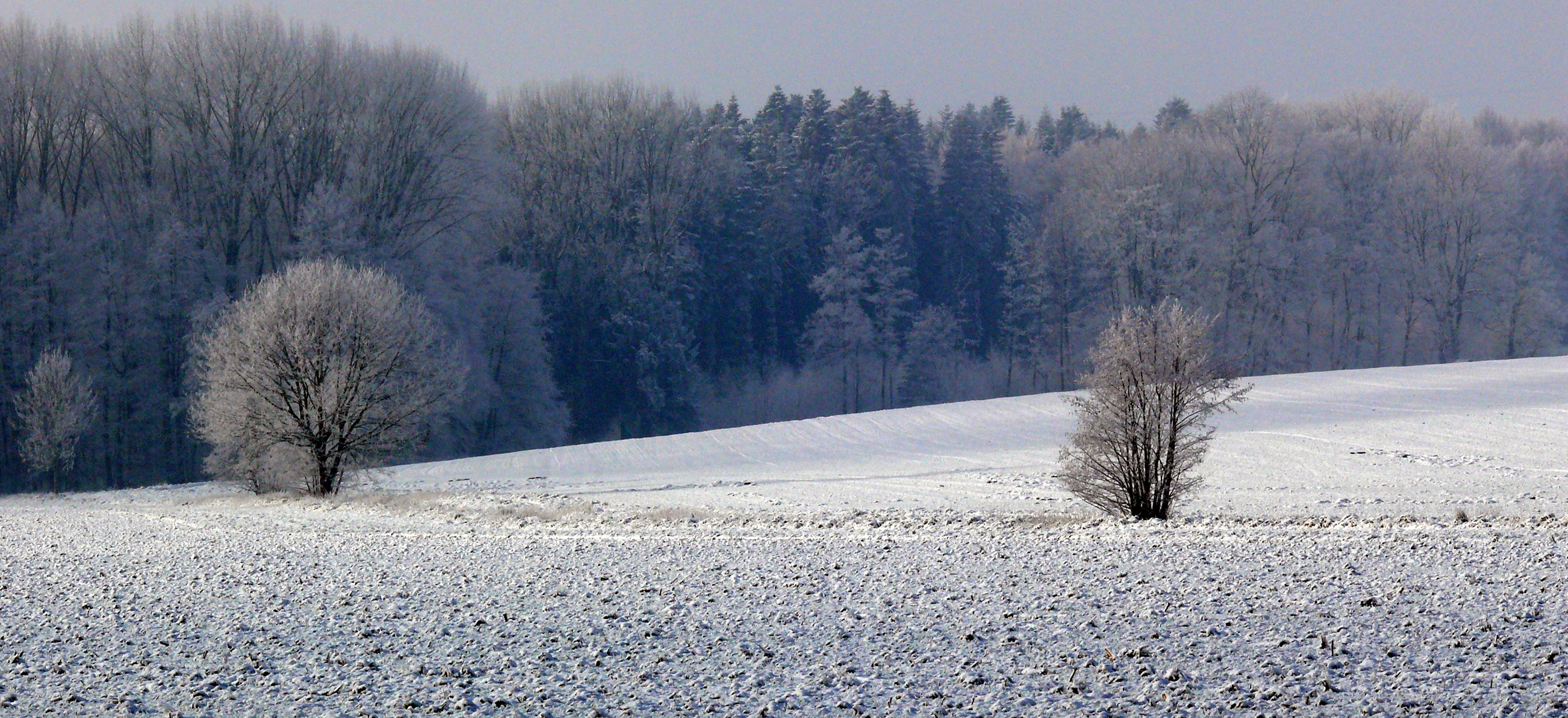 Zwei vor dem Wald