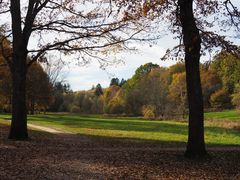 ..zwei Wächter zum Herbstwald