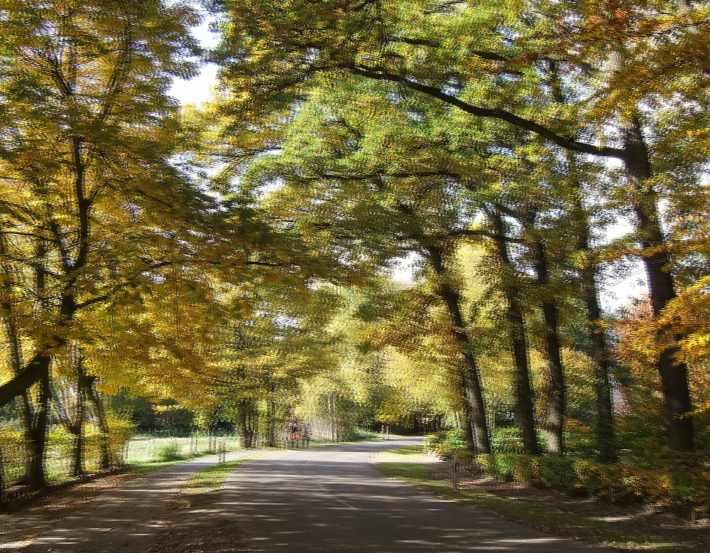 Zwei Wanderer im Herbst