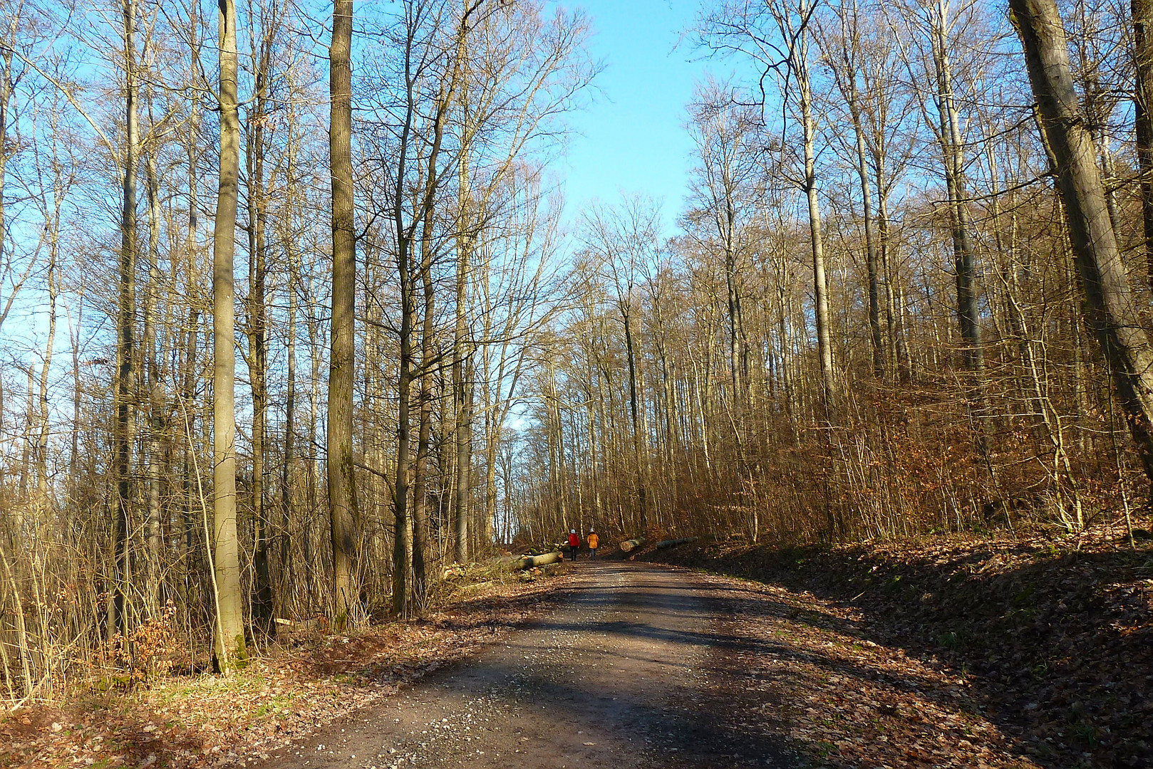 Zwei Wanderer im Sonnenschein