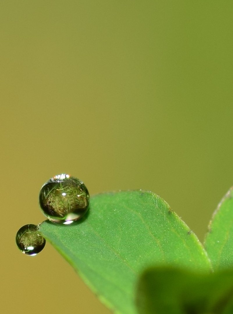 zwei Wassertropfen