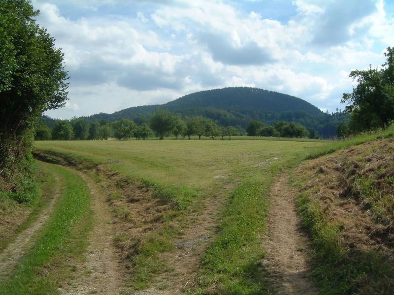 zwei Wege, ein Ziel