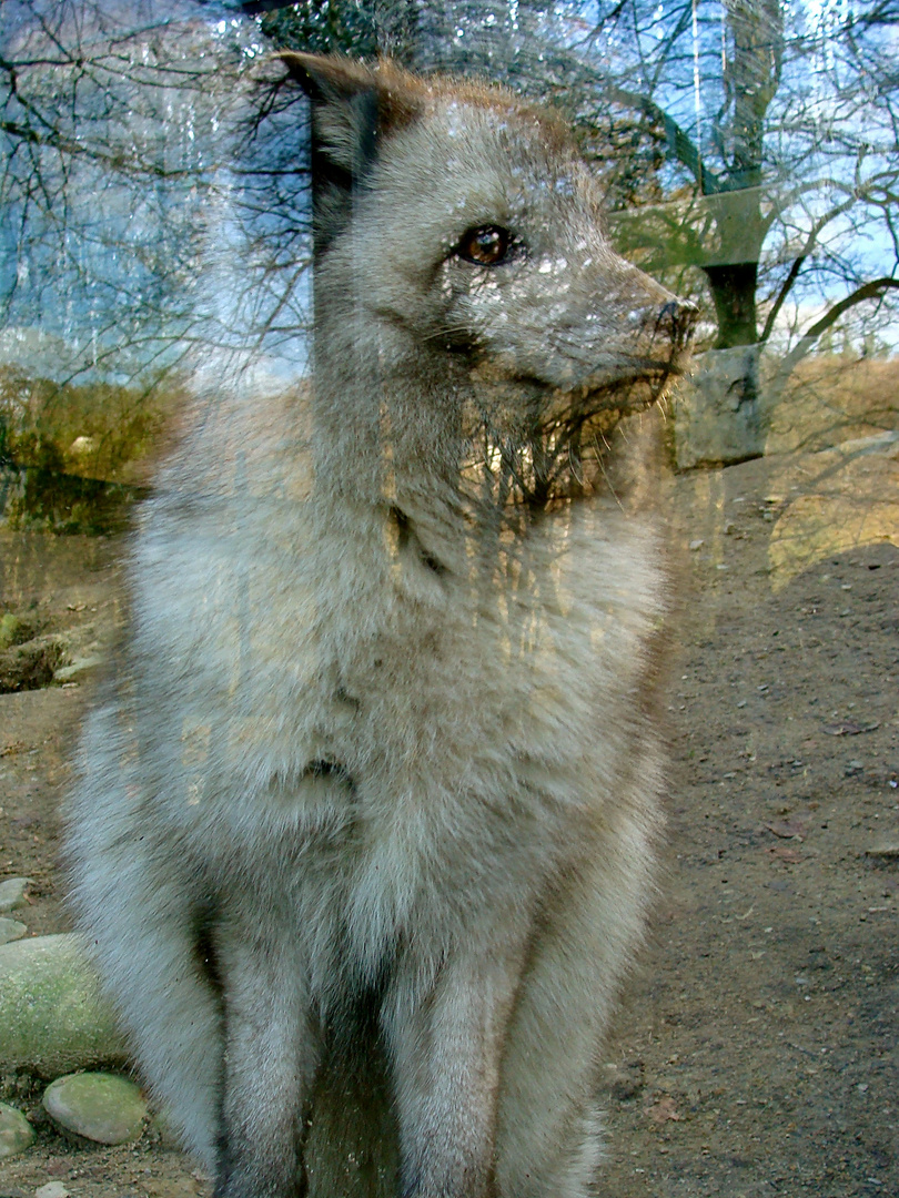 zwei Welten