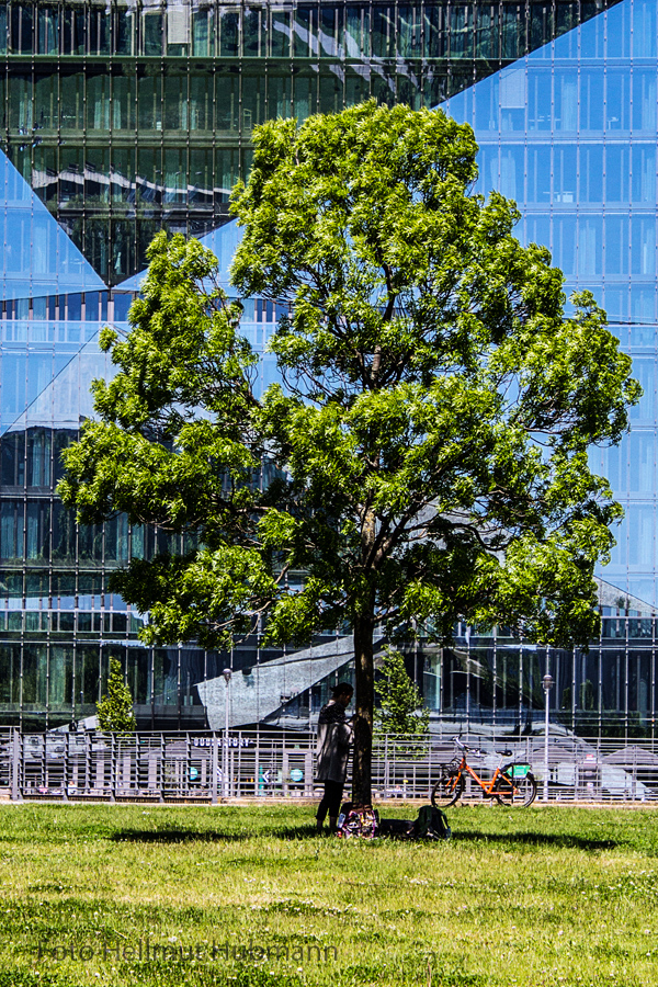 ZWEI WELTEN - NATUR UND ARCHITEKTUR