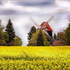 Zwei Windmühlen