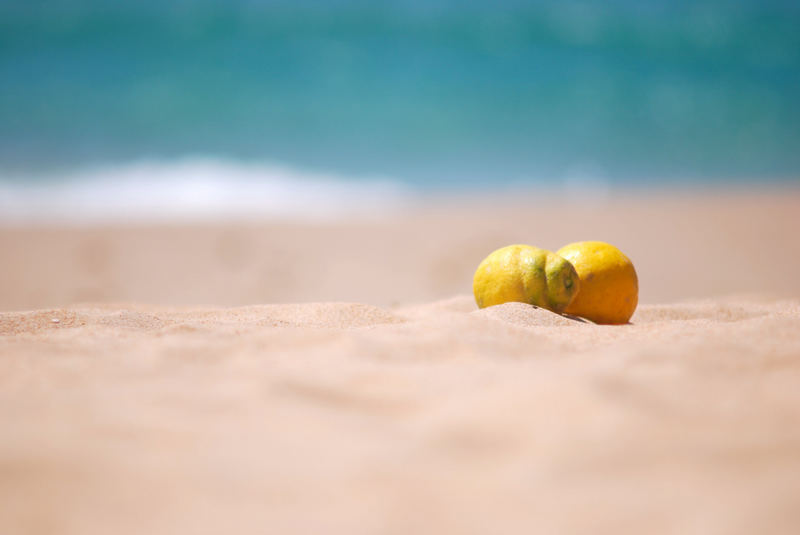 Zwei Zitronen in Tarifa