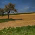 Zweibrücken in Richtung Bitche I