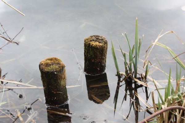 zwei,einsam und allein