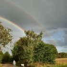 Zweifach  Regenbogen..