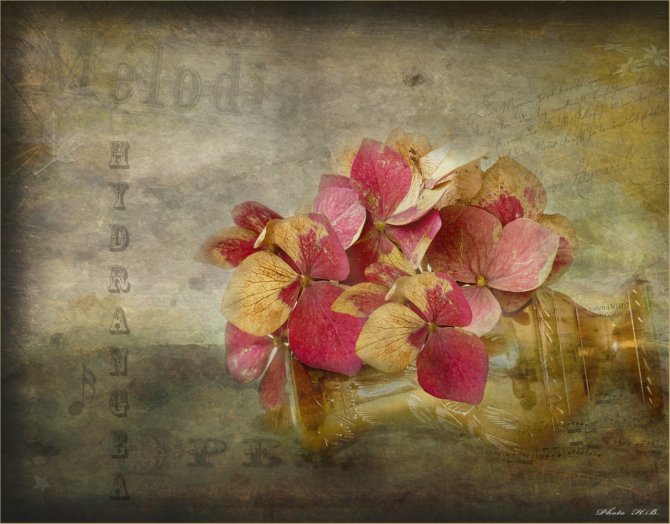 ZWEIFARBIG Foto & Bild | composing, digiart, textur Bilder auf