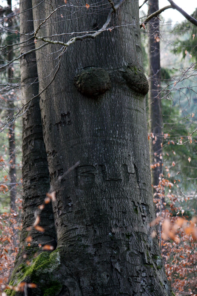 zweifelsfrei - weiblich