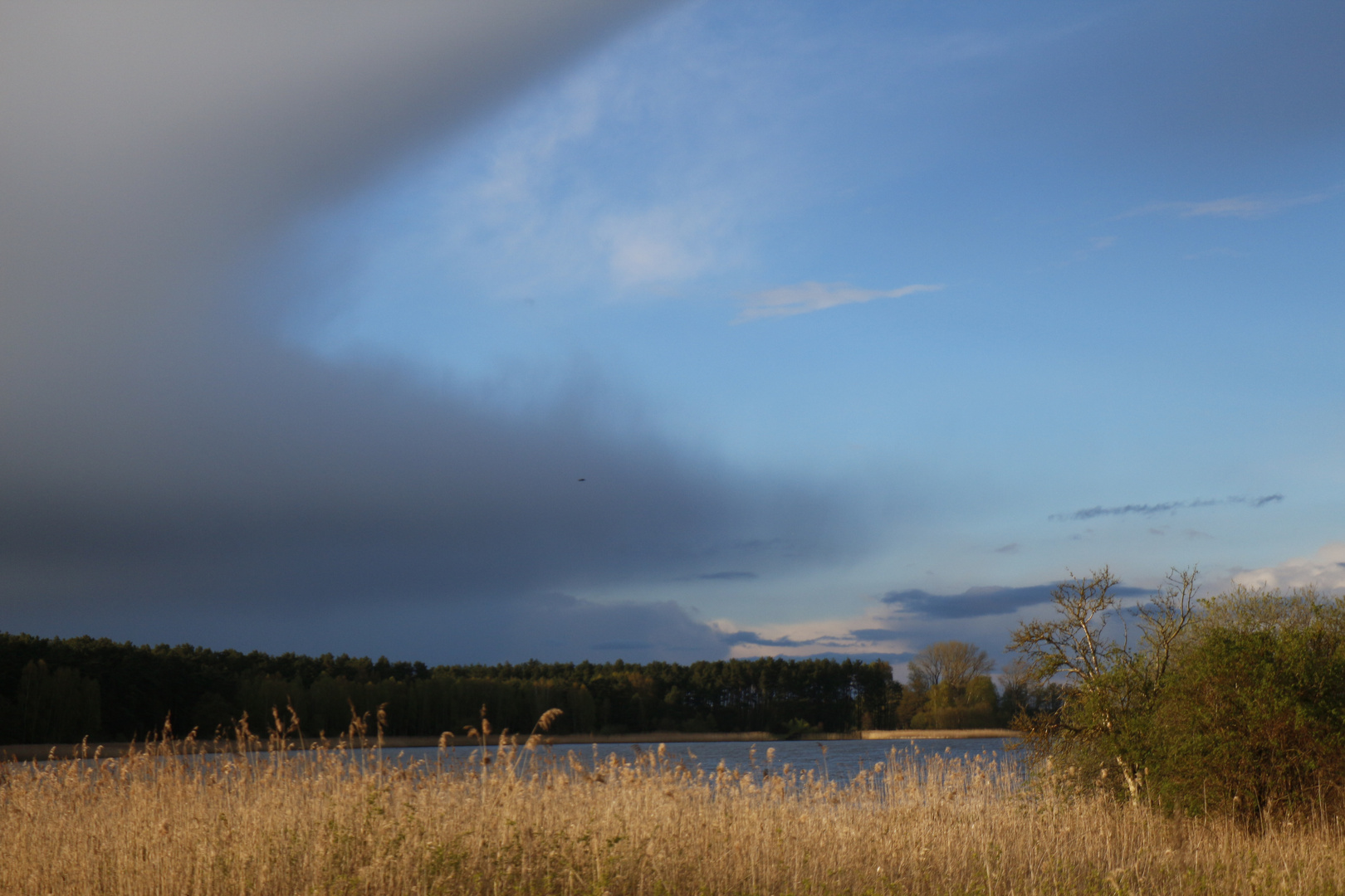 zweigeteilt (Mecklenburg)