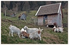 zweiklassen-gesellschaft