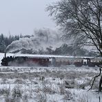 Zweimal täglich 2.3 in Farbe