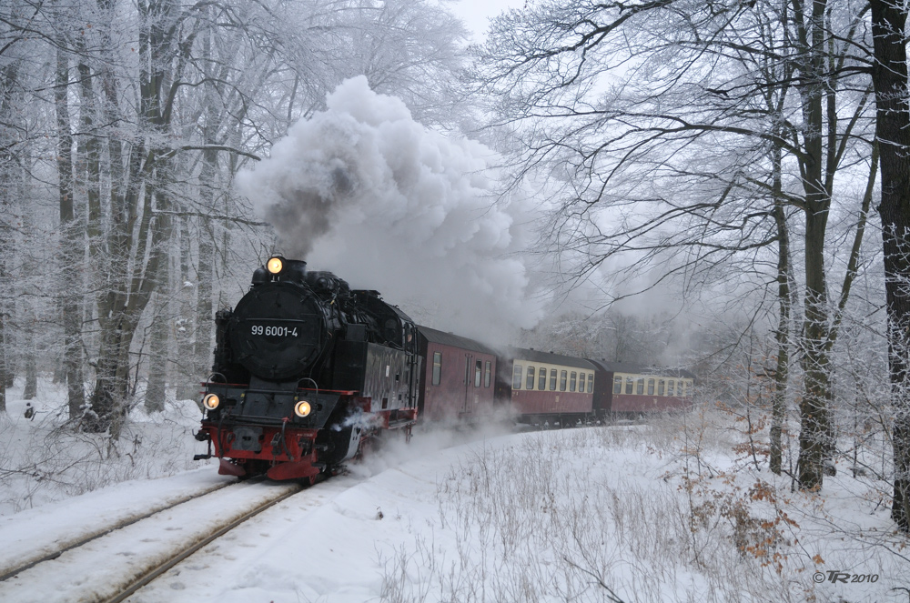 Zweimal täglich 3.1