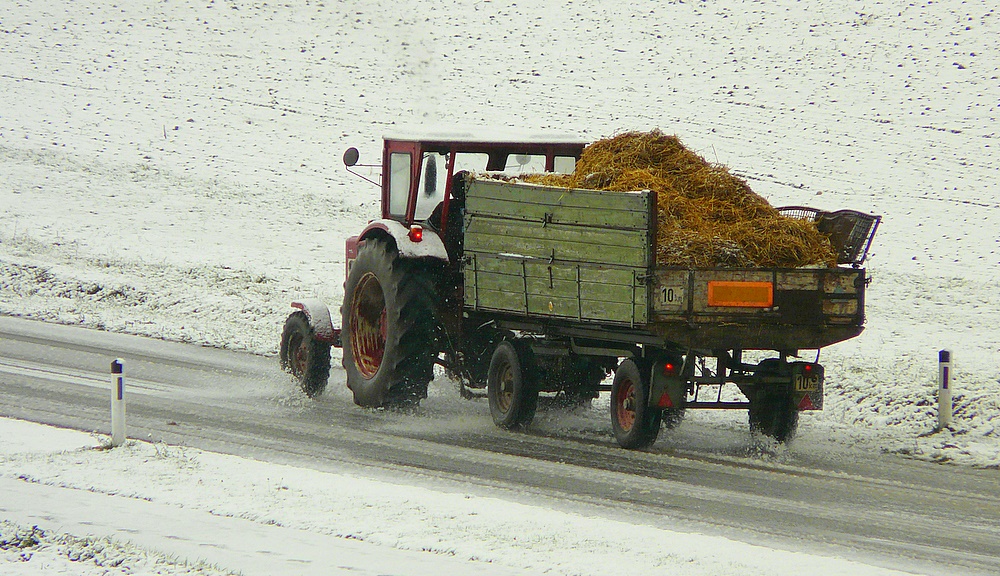 . . „zweimal täglich“. .