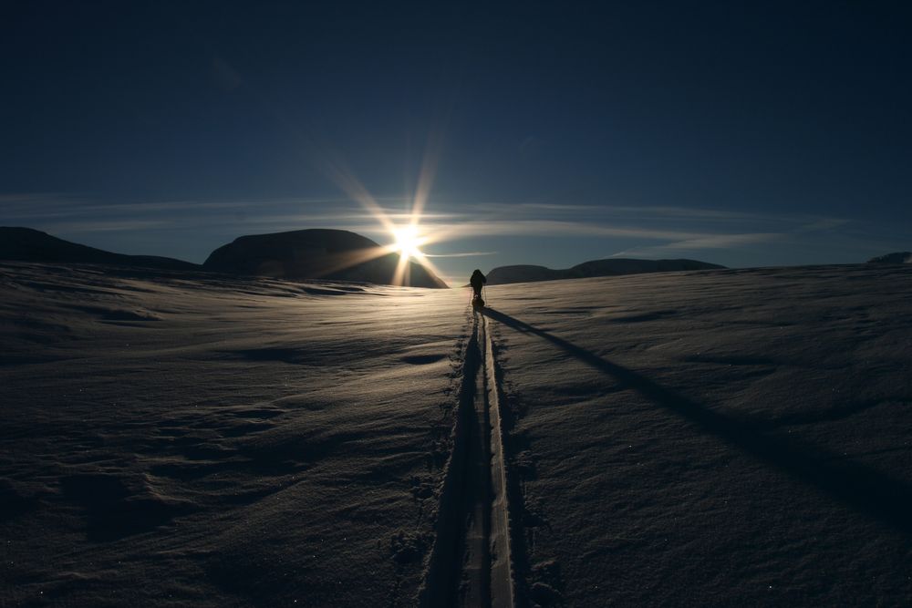 Zweisam auf dem Weg Richtung Süden. by bimo p 