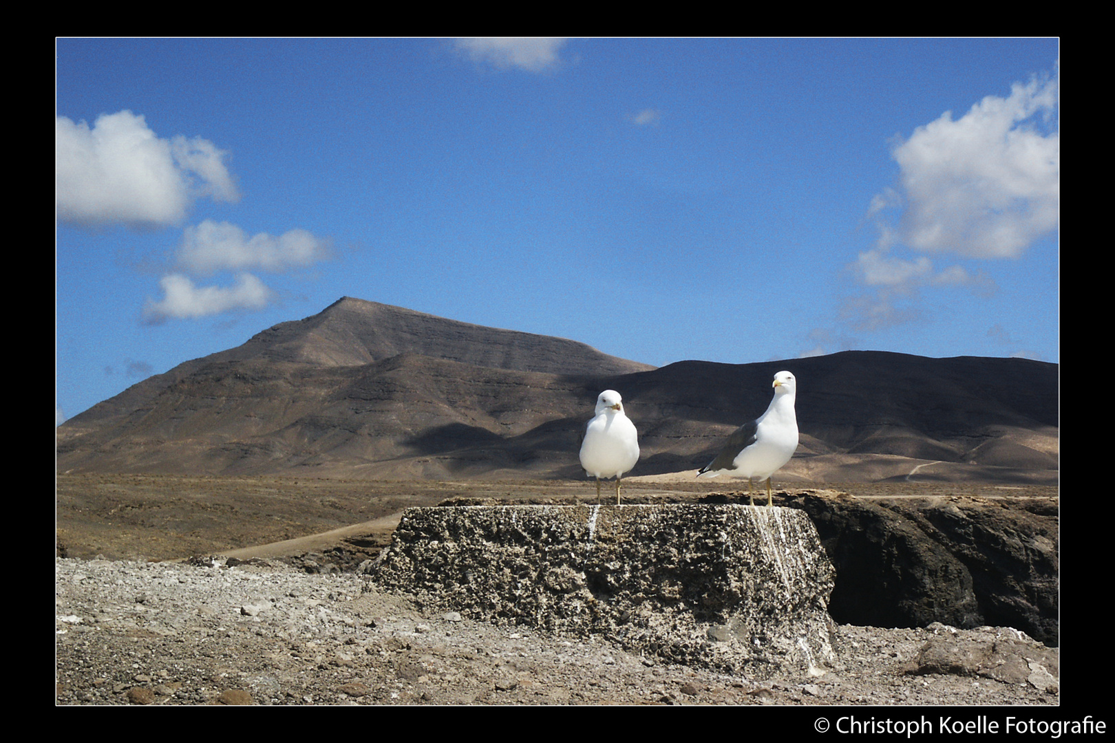 Zweisam auf Lanzarote