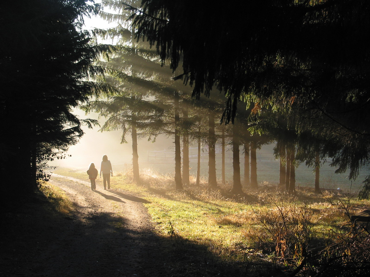 Zweisamer Morgenspaziergang