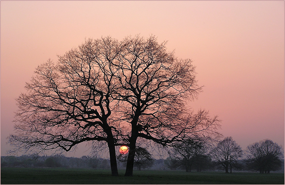 Zweisamkeit am Abend