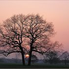 Zweisamkeit am Abend