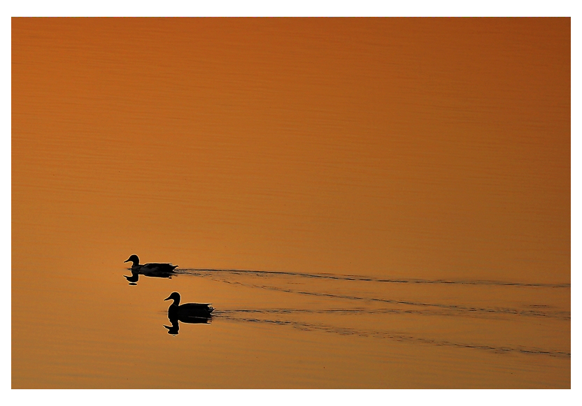 Zweisamkeit am Abend