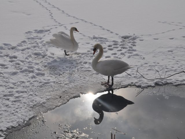 Zweisamkeit am Eisloch