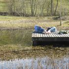 Zweisamkeit am Froschteich